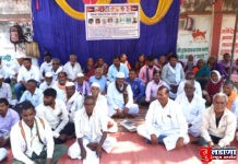 गायरान जमिनीवर सौरउर्जा प्रकल्पास समता संघटनेचा विरोध !