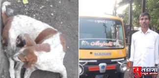 बुलढाण्यातील ऑटो चालकाचे प्राणी प्रेम; कमाईतील 100 रुपये करतात जखमी कुत्र्याच्या खाण्यावर खर्च !