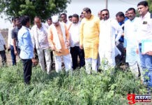 शेतपिकाच्या नुकसानीचे वस्तुनिष्ठ पंचनामे करावे-कृषी मंत्री अब्दुल सत्तार