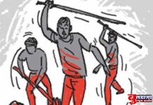 पानटपरीच्या वादातून शेंबा येथे हाणामारी; चौघांवर गुन्हा दाखल !