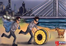 रिधोरा शिवारात विद्युत वितरण कंपनीची 27 हजाराची तार चोरट्याने केली लंपास !