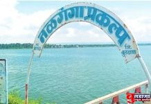 जिल्ह्यात 19 जुलै रोजी 10 इंच पावसाची नोंद