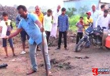 तो फुस्स..फुस्स करीत होता; ‘त्या’ कोब्राला सर्पमित्र रसाळ यांनी जीवनदान दिले !
