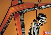 शेगावात कर्जबाजारी शेतकऱ्याची आत्महत्या