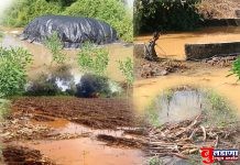 परतीच्या पावसाने जिल्ह्याला ‘झोडपले’! नांदुरा, संग्रामपूर, जळगाव जामोद तालुक्यात सर्वाधिक नुकसान