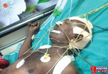 रोहट्याची दुचाकीला धडक; 1 गंभीर, 2 जखमी