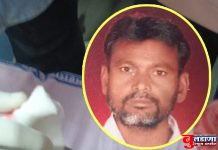 रानडुकराच्या हल्ल्यात शेतमजूर जखमी