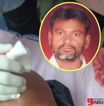 रानडुकराच्या हल्ल्यात शेतमजूर जखमी