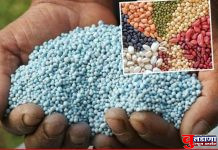 खते व बियाण्यांची जादा दराने विक्री करणाऱ्यांची खैर नाही; जिल्हा व तालुकास्तरावर 14 भरारी पथके तैनात