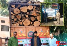 मोताळा वनविभागाची रोहिणखेड बीटमध्ये धडक कारवाई; लाकडांची वाहतूक करणारा ट्रक पकडला; 4.75 लाखाचा मुद्देमाल जप्त !