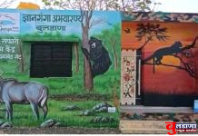 ज्ञानगंगा अभयारण्य मार्ग रात्री बंद; पर्यायी मार्गाचा वापर करण्याचे आवाहन !