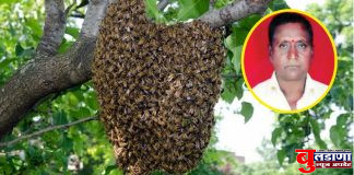 आगेमोहळच्या माशा चावल्याने शेतकऱ्याचा मृत्यू; बुलढाणा तालुक्यातील पळसखेड भट येथील घटना!