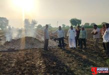 तळणी येथे वीज पडल्याने शेतकऱ्याचा 3 एकरातील हरबरा जळून खाक